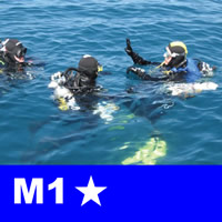 m1