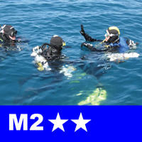 m2